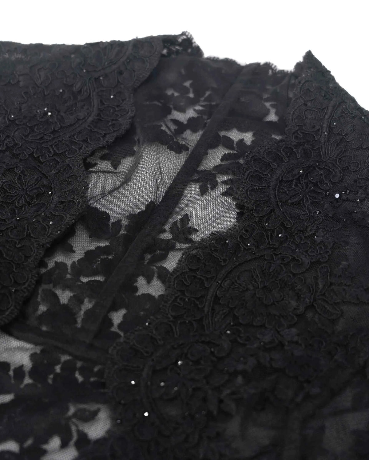 Floral lace rises around the neckline above a transparent upper section.